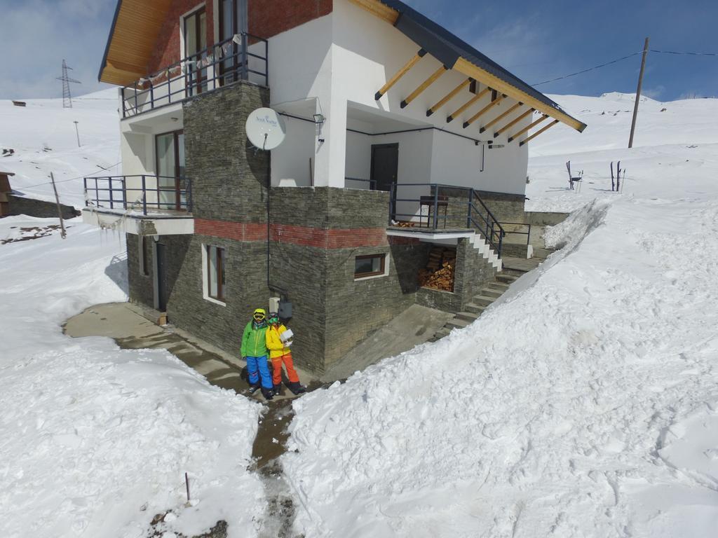 Mountain Cricket Chalets And Apartments Gudauri Bagian luar foto